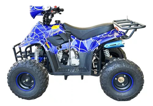 CUATRIMOTO AVANZADA Q6 110CC